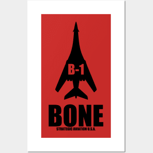 B-1 bone Posters and Art